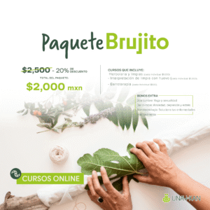 Paquete Brujito